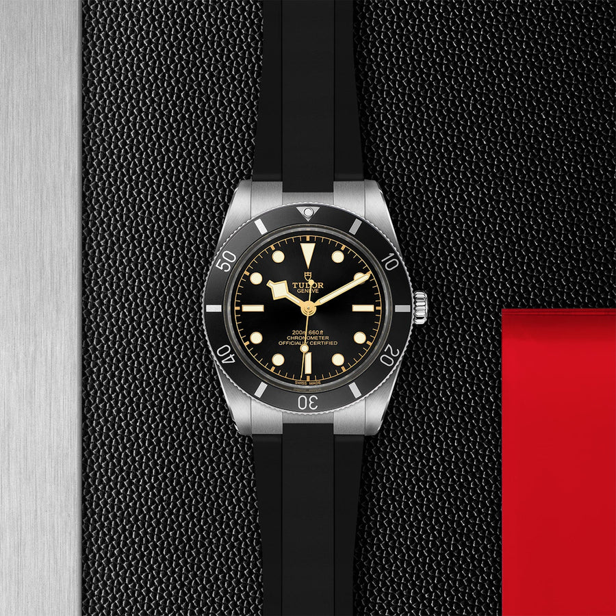 TUDOR Black Bay 54 37mm Steel - M79000N-0002