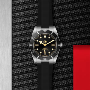 TUDOR Black Bay 54 37mm Steel-TUDOR Black Bay 54 37mm Steel - M79000N-0002