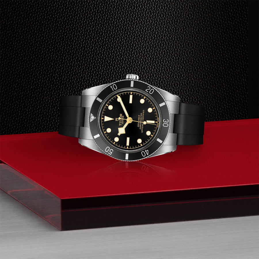 TUDOR Black Bay 54 37mm Steel - M79000N-0002