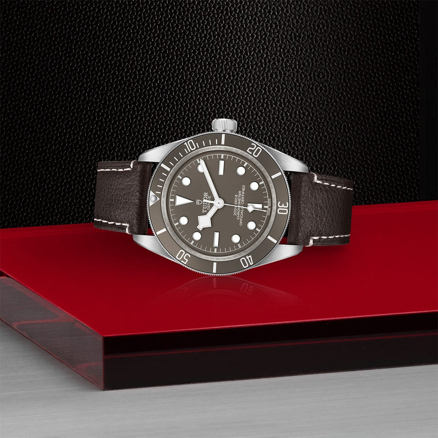 TUDOR Black Bay Fifty-Eight 925 39mm Silver -