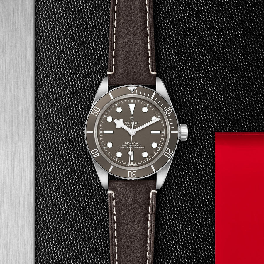 TUDOR Black Bay Fifty-Eight 925 39mm Silver -