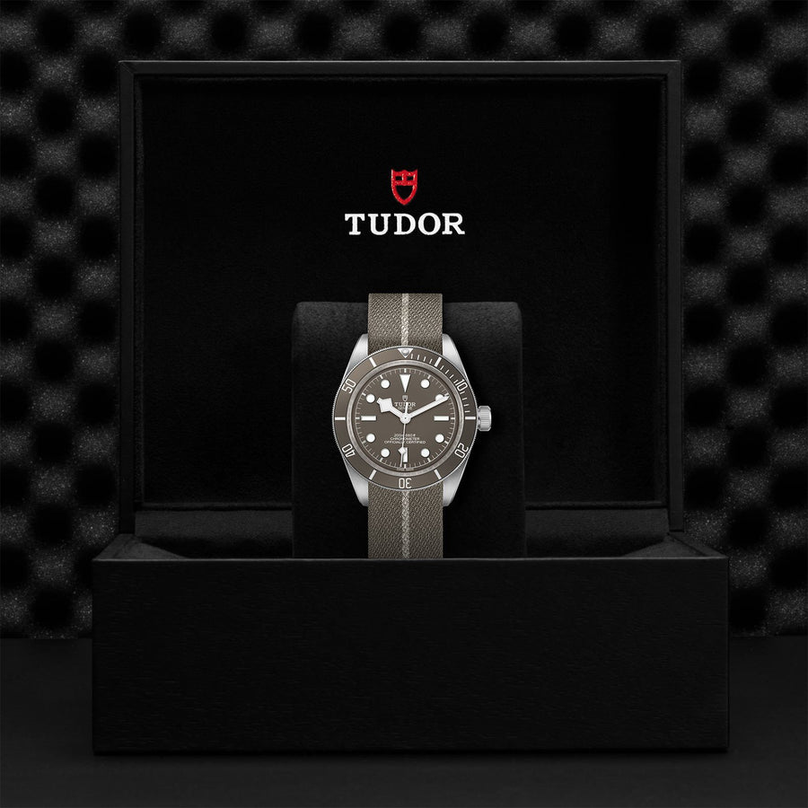 TUDOR Black Bay Fifty-Eight 925 39mm Silver -