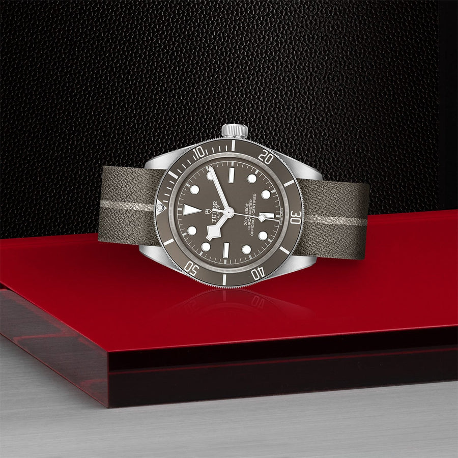 TUDOR Black Bay Fifty-Eight 925 39mm Silver -