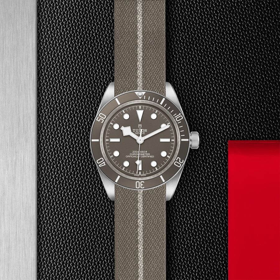TUDOR Black Bay Fifty-Eight 925 39mm Silver -