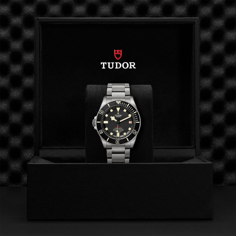 TUDOR Pelagos 42mm Titanium and Steel -