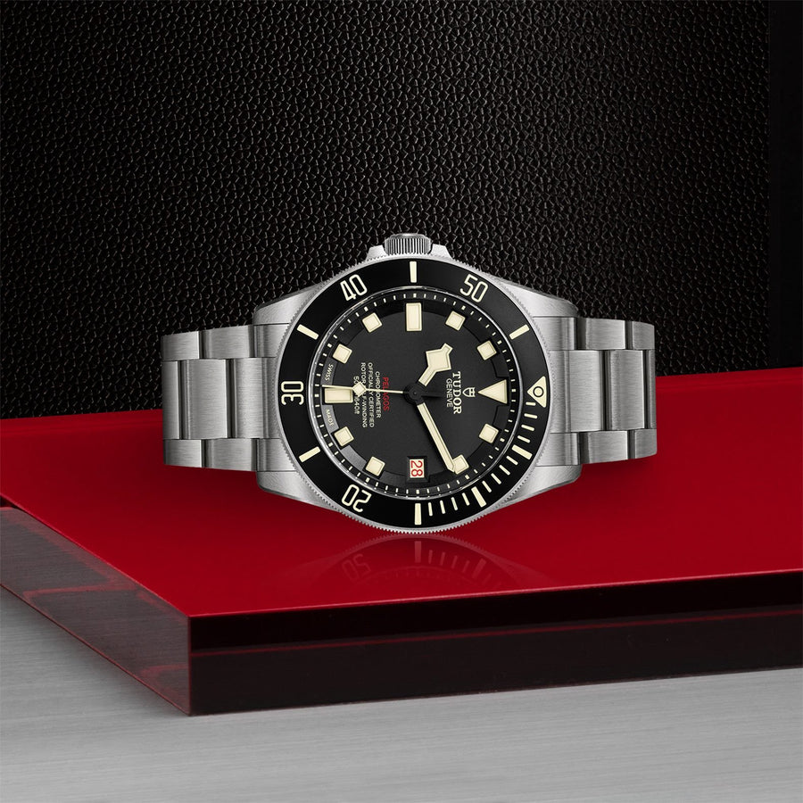 TUDOR Pelagos 42mm Titanium and Steel -